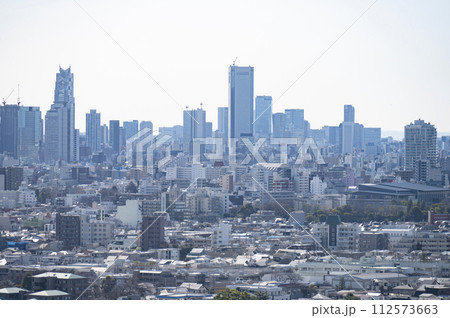 練馬区役所展望台からの風景 112573663