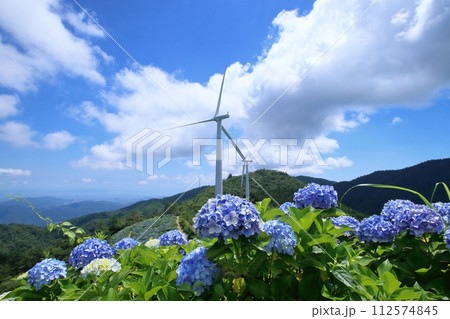 青い紫陽花と風車　（徳島県　大川原高原） 112574845