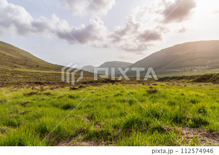 Gentle slopes of Scottish Highlands basking in late afternoon sun, Isle of Skye greenery Gentle slopes of Scottish Highlands basking in late afternoon sun, Isle of Skye greenery 112574946