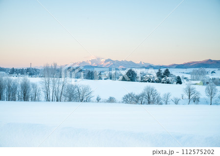 雪が積もった北海道美瑛町の風景 雪が積もった北海道美瑛町の風景 112575202
