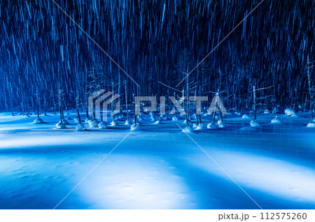 北海道美瑛町ライトアップした青い池 北海道美瑛町ライトアップした青い池 112575260