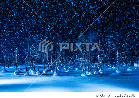 北海道美瑛町ライトアップした青い池 112575279