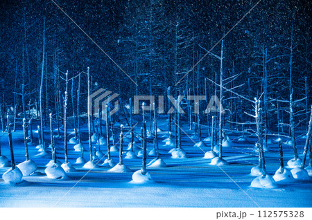 北海道美瑛町ライトアップした青い池 112575328