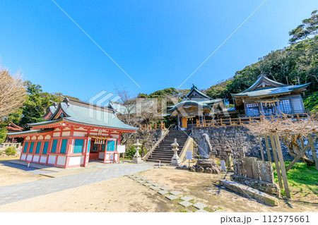 初春の田島神社　佐賀県唐津市 112575661