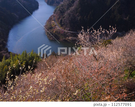 奈良県　月ヶ瀬梅林 112577091