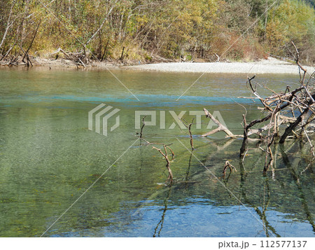 上高地を流れる梓川と枯れた流木 112577137