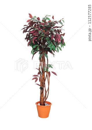 Artificial trees in pots Artificial trees in pots 112577285