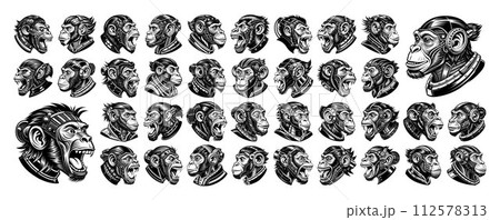 Side view of futuristic robot cyborg monkey head illustration design set 112578313