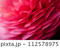 赤い花 112578975