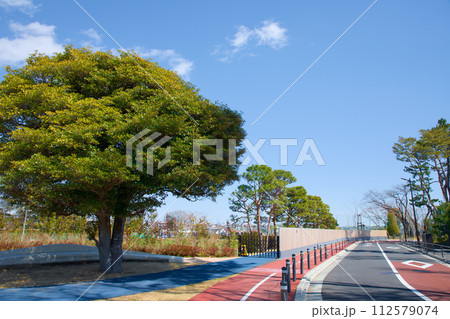 給田松の香公園 112579074