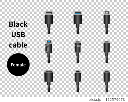 black usb cable/female 112579078
