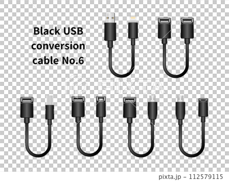 Black USB conversion cable No.6 112579115