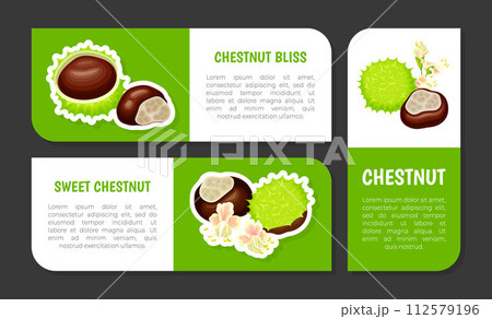Chestnut Label Design with Brown Kernel in Green Thorn Shell Vector Template Chestnut Label Design with Brown Kernel in Green Thorn Shell Vector Template 112579196