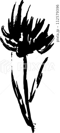 Hand Drawn Cornflower Brush Ink Silhouette 112579396