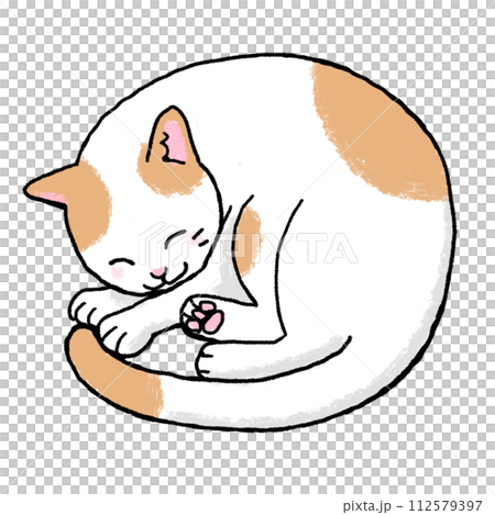 一隻貓蜷縮起來的插圖 112579397