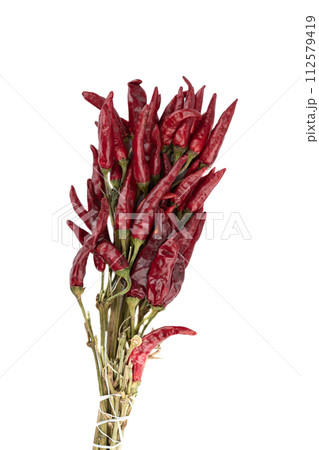 Bouquet of red hot pepper pods on white background. 112579419