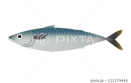 鯖のベクターイラスト 112579448