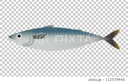 鯖のベクターイラスト 112579448