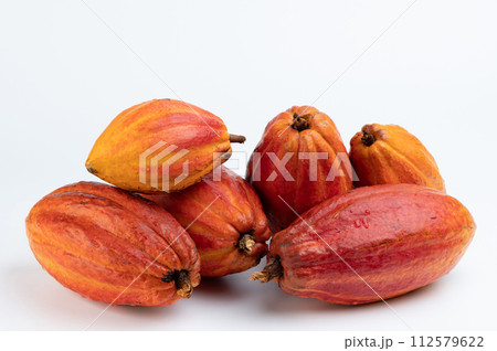 Pile of wet yellow cacao pods 112579622