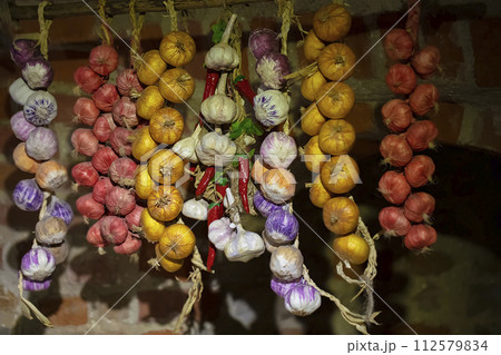 Multicolored onion heads in bunches are hung in a dark basement. Storage of vegetables. 112579834
