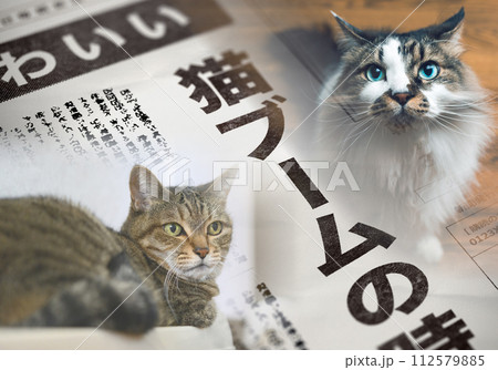 リアルな架空の新聞の一面 リアルな架空の新聞の一面 112579885