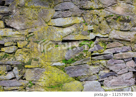 ancient stone wall. moss and plants on the grunge surface ancient stone wall. moss and plants on the grunge surface 112579970