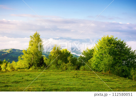 carpathian countryside scenery on a sunny morning in spring. mountainous landscape with grassy meadows and fog in the distant valley. clouds above the mountains carpathian countryside scenery on a sunny morning in spring. mountainous landscape with grassy meadows and fog in the distant valley. clouds above the mountains 112580051