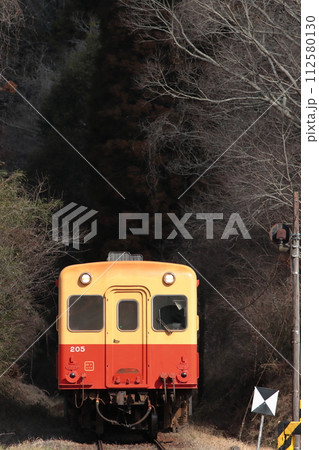 柔らかな木漏れ日が注ぐ里山をのんびりと走る小港鉄道キハ200形気動車_2024/2/24撮影 112580130