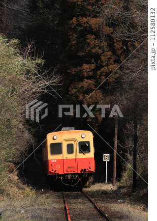 柔らかな木漏れ日が注ぐ里山をのんびりと走る小港鉄道キハ200形気動車_2024/2/24撮影 112580132