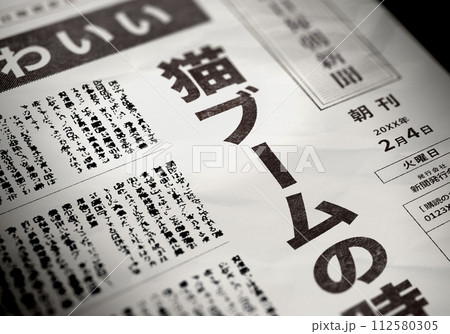 リアルな架空の新聞の一面 リアルな架空の新聞の一面 112580305