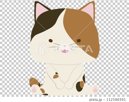 座っている笑顔の三毛猫 座っている笑顔の三毛猫 112580391