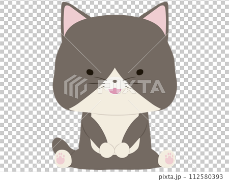 Smiling bee cat sitting 112580393