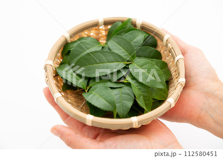 緑茶葉を持つ女性の手 112580451