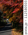 紅葉したモミジのトンネル 112580503