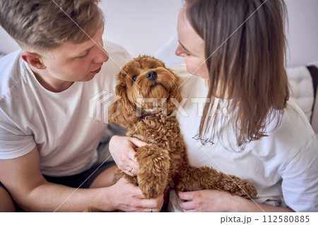 young couple is holding a cockapoo dog in their arms on the bed 112580885