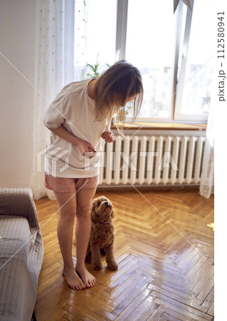 young woman trains her cockapoo young woman trains her cockapoo 112580941
