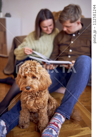 young couple looking at their wedding photo album by the bed in living room, cockapoo running around young couple looking at their wedding photo album by the bed in living room, cockapoo running around 112581244