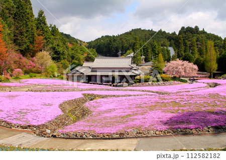 三田・花のじゅうたん 三田・花のじゅうたん 112582182