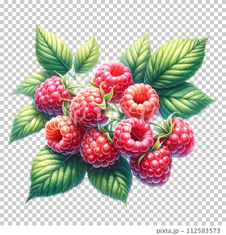 red ripe raspberries with leaves isolated on white 112583573