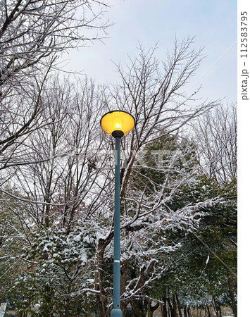 街灯と雪が積もる木々 街灯と雪が積もる木々 112583795