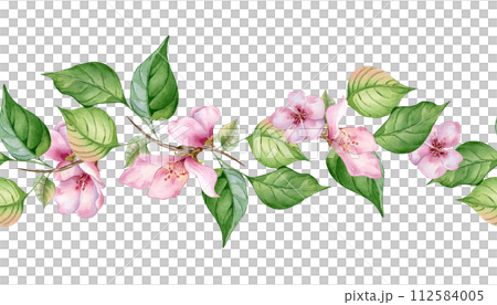 Watercolor seamless banner with pink flowers and leaves isolated on white. Floral board with blossom fruit branch hand drawn. Element for wedding invitation, card, packaging, label product 112584005