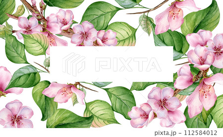Watercolor floral board with pink blooming branch isolated on white. Design template of floral frame with pink white flowers hand drawn. Element for wedding invitation, card, packaging, label product Watercolor floral board with pink blooming branch isolated on white. Design template of floral frame with pink white flowers hand drawn. Element for wedding invitation, card, packaging, label product 112584012