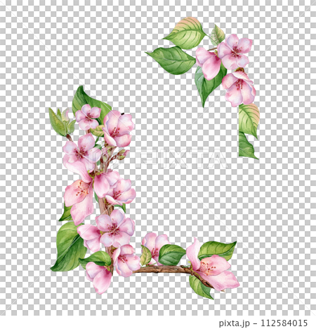 Watercolor frame with pink flowers of fruit tree isolated on white. Design template of floral frame with blossom branch hand drawn. Element for wedding invitation, card, packaging, label product Watercolor frame with pink flowers of fruit tree isolated on white. Design template of floral frame with blossom branch hand drawn. Element for wedding invitation, card, packaging, label product 112584015