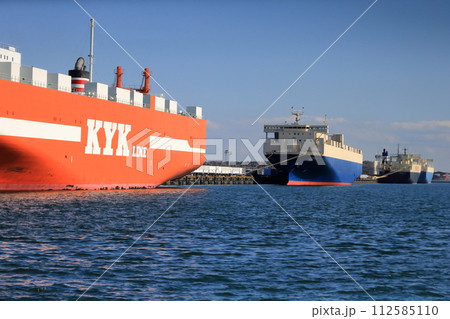 停泊中の貨物船(東京都江東区有明) 停泊中の貨物船(東京都江東区有明) 112585110