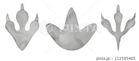 Dinosaur Footprints Set Watercolor clip art. Dino paw track illustration. Hand drawn on isolated background. Drawing of different animals step silhouette. Jurassic period fossil. For kids prints. 112585405
