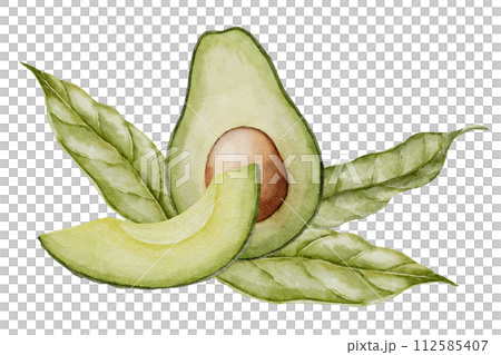 Avocado with flower Watercolor illustration. Botanical drawing of Fruit. Vegetable sketch painting. Vegan organic ecological Food. Hand drawn clipart on isolated background. For print and logo design. 112585407
