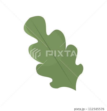Tree leaf colored icon Vector 112585576