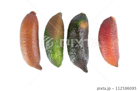 Fresh finger limes isolated on white background. Caviar lime. Fruits pods. Clipping path. Top view. Fresh finger limes isolated on white background. Caviar lime. Fruits pods. Clipping path. Top view. 112586095