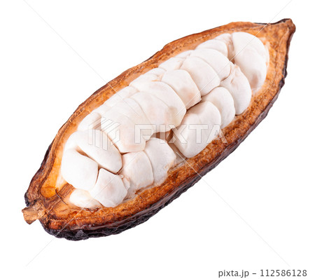Fresh cocoa fruits isolated on white background. Dark red cocoa pods. Clipping path. 112586128