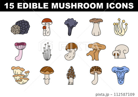 Edible mushroom colored icons set. Collection of natural wild forest product. Vegetarian nutrition, delicious fungus. Flat vector illustration Edible mushroom colored icons set. Collection of natural wild forest product. Vegetarian nutrition, delicious fungus. Flat vector illustration 112587109